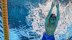 eský plavec Jakub Bursa bhem závodu na MS v Singapuru
