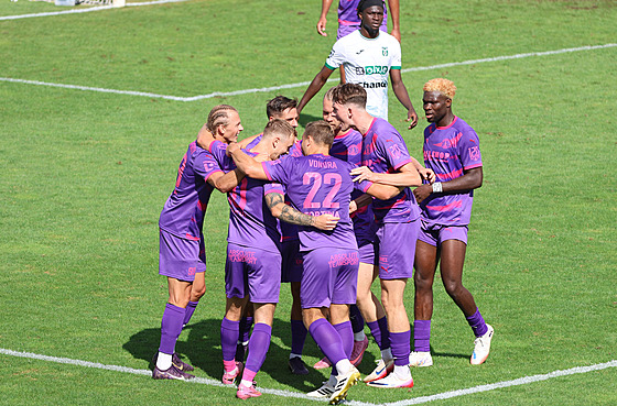 Fotbalisté Bohemians se radují z gólu Jana Matou�ka proti Karviné.