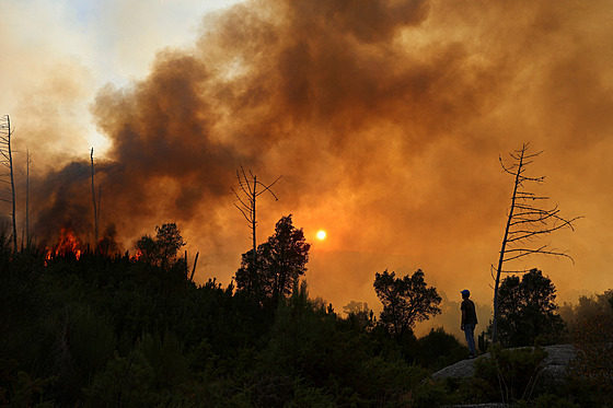 Lesní po�ár ve Vilar de Condes ve �pan�lské Galicii. (15. srpna 2025)