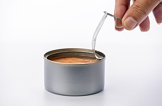 ilustra�ní snímek