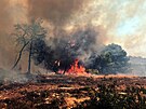 Lesní poár, který vypukl v lese poblí vesnice Agalas na eckém ostrov...