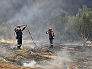 Lesní poár ve vesnici Moiraiika poblí msta Patras v západním ecku. (12....