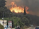 Lesní poár ve vesnici Theriano nedaleko msta Patras., (12. srpna 2025)