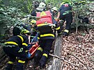 Hasii zachraovali nvtvnici Bezdzu, kter se ztila ze srzu pod hradem....