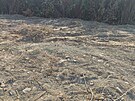 Na okraji lesa v Tebnouevsi stle le stavebn odpad. (15. srpna 2025)