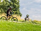 V Bike parku v Mladch Bukch se u jezd na pti kilometrech trat. (19....