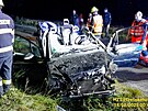 Pi vn nehod mezi Horn Bzou a ilovem na Plzesku se zranili ti...
