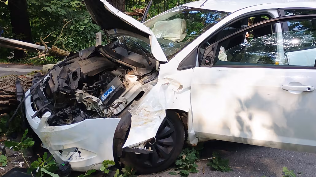 Na jedoucí auto v Majdalen� spadl strom. (10. srpna 2025)