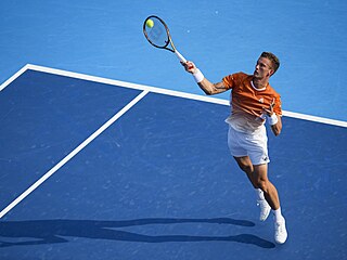 Ji�í Lehe�ka se natahuje po mí�ku na turnaji v Cincinnati.