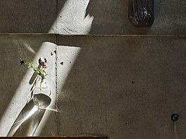 Obydlí vychází z porozum�ní, �e v hust� zastav�né oblasti Tokia je ka�dý...