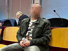 Mu, jen podle obaloby v Domaslavicích na Teplicku zavradil svého otce,...