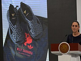 Mexiko tvrdí, e Adidas okopíroval vzor od domorodc. Firmu zkritizovala...