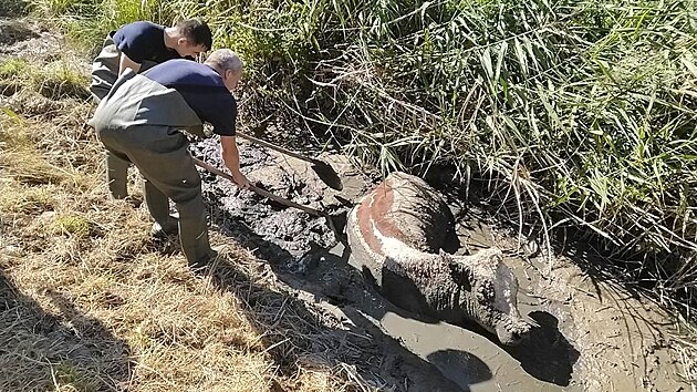 Netradi�ní výjezd za�ili v úterý odpoledne hasi�i v obci Dubá na �eskolipsku....