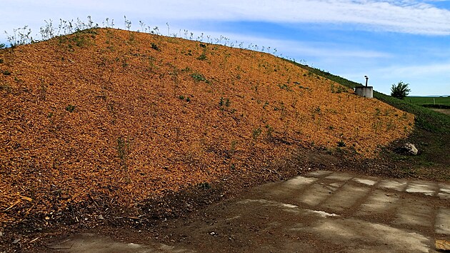 Na mst bval skldky u Mohelnice u rostou stromy a kee.