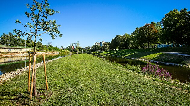 Nov odpoinkov zna v eskch Budjovicch u eky Vltavy se jmenuje Slunen ostrov. (19. srpna 2025).