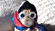 Bella Ewens se na svých útech na TikToku a Instagramu dlí o roztomilá videa...