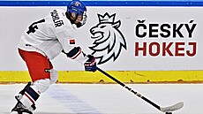Luká� Kachlí� b�hem utkání se �výcarskem na Hlinka Gretzky Cupu.