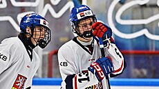 Václav Nedorost smutní po proh�e �eska s Finskem na Hlinka Gretzky Cupu.