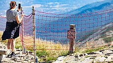 Sn�ka a ozna�ení zákazu vstupu (13. srpna 2025).