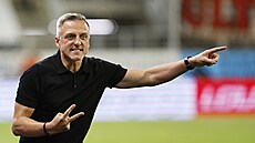 Jablonecký kou Lubo Kozel udluje pokyny bhem utkání se Slavií.