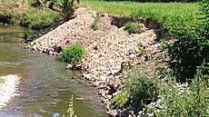 Pravdpodobn nejde o prosté zbavení se nepotebného odpadu, ale o amatérské...