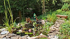 Nae lesní zahrada s vodním prvkem