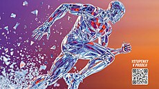 Mistrovství �R v atletice se letos koná na Stadionu St�elnice v Jablonci.