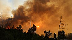 Lesní po�ár ve Vilar de Condes ve �pan�lské Galicii. (15. srpna 2025)
