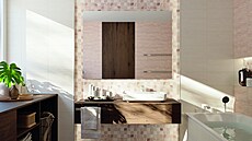 Pesunutím koupelny do nového prostoru se podailo získat i denní osvtlení....