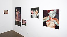 Výstava Wild at Steel Heart v galerii Hidden Bo�ivojova