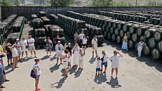 Vina�ství v Koktebelu na jihu Ruskem okupovaného Krymu láká turisty k...