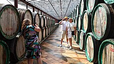 Vina�ství v Koktebelu na jihu Ruskem okupovaného Krymu láká turisty k...