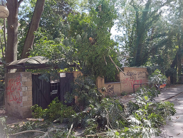 Hasie v Olomouckém kraje zamstnal silný vítr. Zasahovali kvli popadaným...