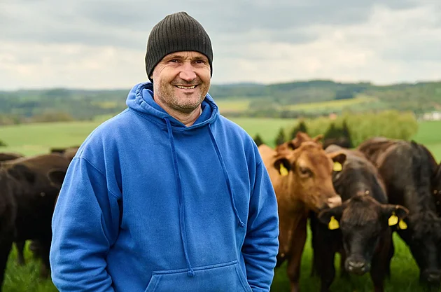 Vepřové za stovku? Čím takové prase asi krmili, ptá se regenerativní farmář