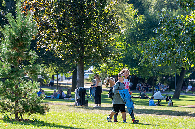 Zele ve Zlín v parku Komenského (srpen 2025)