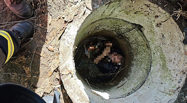 Mu se drel na hladin a volal o pomoc. Díky tomu náhodný svdek pivolal...