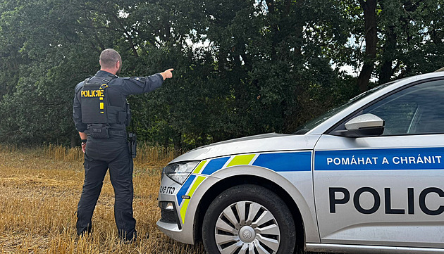 Policisté hlídkují kolem lesa, kam býk utekl a pátrají po nm pomocí dron.