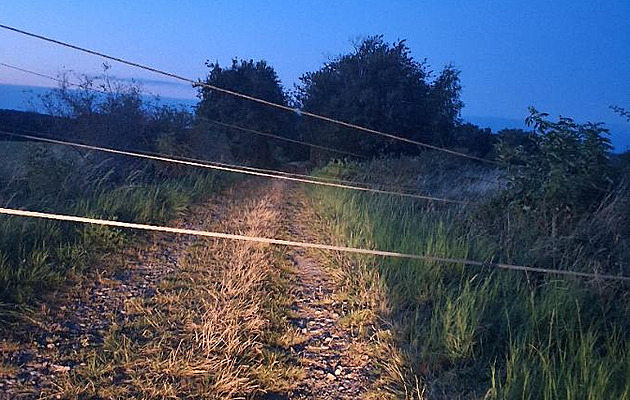 Kde se vzal drát pes cestu a pro nebyl nikterak oznaen. To jsou otázky,...