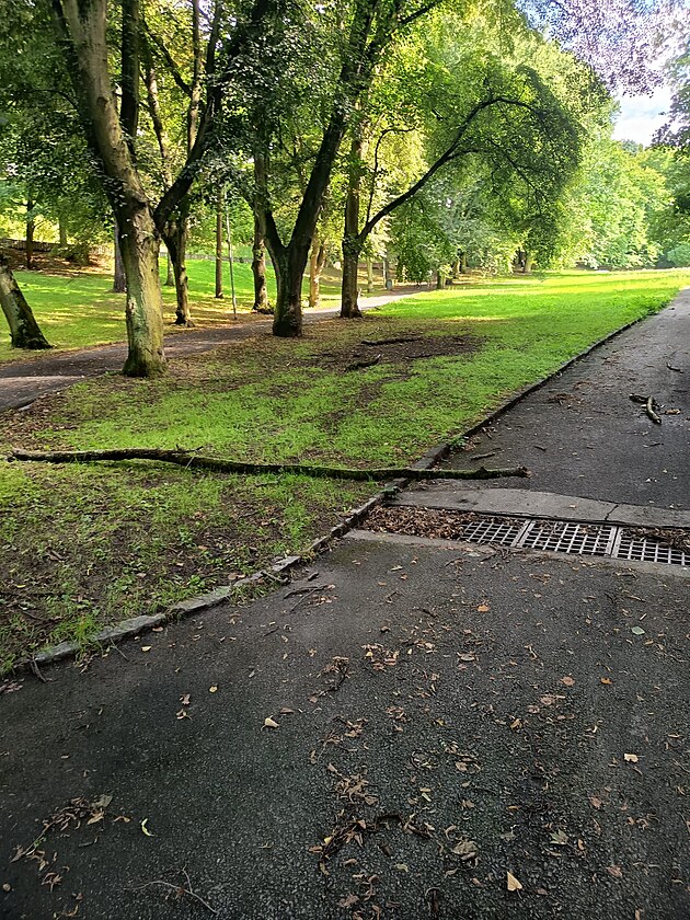 Zdislava teflová tvrdí, e cyklostezka u jihlavského parku Keásek je...