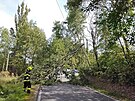 Hasie v Olomouckm kraje zamstnal siln vtr. Zasahovali kvli popadanm...