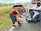 Tragická nehoda dvou osobních voz� zastavila provoz na silnici 1/47 u obce...