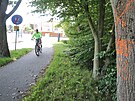 Zdislava teflov tvrd, e cyklostezka u jihlavskho parku Kesek je...