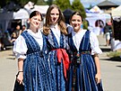 Tradin sout jedlk na festivalu Vizovick Trnkobran. (24. srpna 2025)