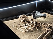 Národní muzeum otev�elo expozici s prap�edky lidstva Lucy a Selam. Fosilie jsou...