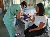 Odb�r krve ve Slezské nemocnici v Opav�. (28. srpna 2025)