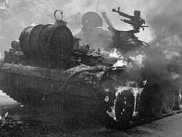 Srpen 1968 v Praze oima estnáctiletého Martina Preisse.