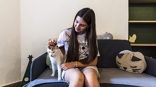 Koi kavrna Ti Koketi v Brn. (srpen 2025)