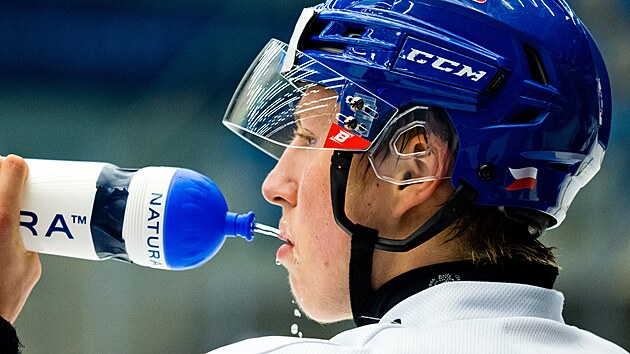 Chomutov, 25 Ağustos 2025. Tr