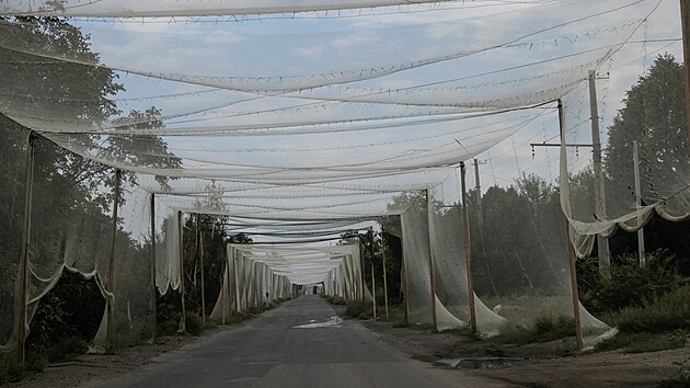 Nad silnic pobl frontovho msta Kosantynivka jsou nainstalovny st proti dronm. (25. srpna 2025)