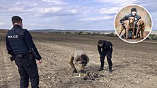 Po stopách otrávených pták�. Policie dokumentuje otravu dravc� na B�eclavsku...